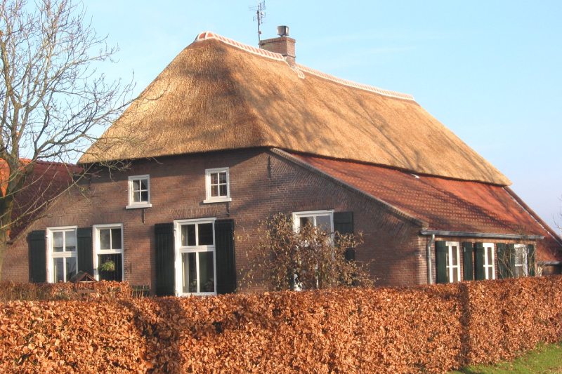 Rieten-dakbedekking-1